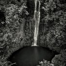 The Secret Pool
